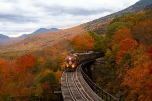 vlak koleje příroda